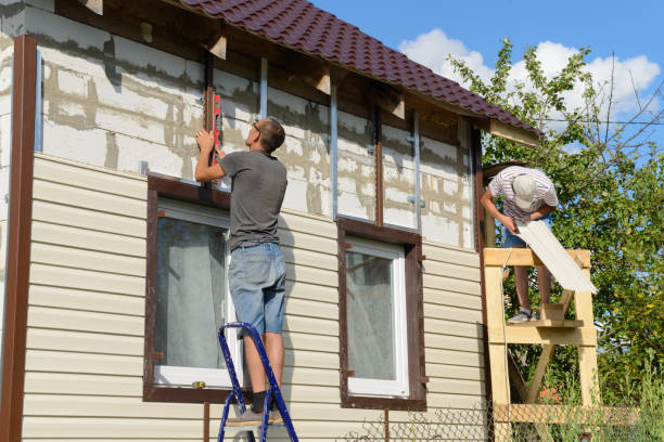 Best Siding Painting and Refinishing  in Taylor, MI